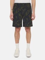 Dickies Saltville Shorts Blue/brown DK0A4YSHJ461