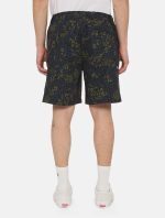 Dickies Saltville Shorts Blue/brown DK0A4YSHJ461 - Image 4
