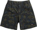 Dickies Saltville Shorts Blue/brown DK0A4YSHJ461 - Image 2