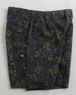 Dickies Saltville Shorts Blue/brown DK0A4YSHJ461 - Image 3