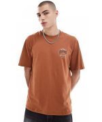Dickies Stanardsville Short Sleeve T-Shirt Light Brown DK0A4YR2H161