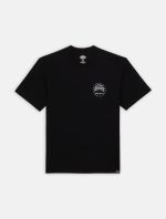 Dickies Stanardsville Short Sleeve T-Shirt Black DK0A4YR2BLK1 - Image 5
