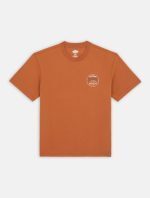 Dickies Stanardsville Short Sleeve T-Shirt Light Brown DK0A4YR2H161 - Image 6
