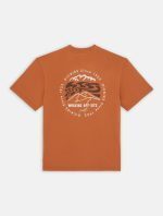 Dickies Stanardsville Short Sleeve T-Shirt Light Brown DK0A4YR2H161 - Image 7