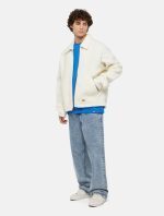 Dickies Thomasville Denim Trousers Light Wash DK0A4XYKJ781 - Image 6