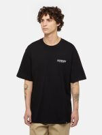 Dickies Script T-Shirt Black DK0A863DBLK1