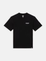 Dickies Script T-Shirt Black DK0A863DBLK1 - Image 5