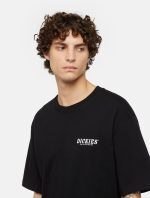 Dickies Script T-Shirt Black DK0A863DBLK1 - Image 3