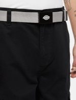 Dickies Orcutt Webbing Belt Ultimate DK0A4X7ED061 - Image 2
