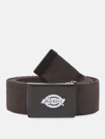 Dickies Orcutt Webbing Belt Dark Brown DK0A4X7EDBX1