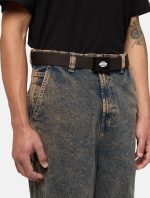 Dickies Orcutt Webbing Belt Dark Brown DK0A4X7EDBX1 - Image 2