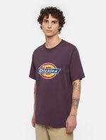 Dickies Icon Logo Tee Plum Perfect DK0A4XC9J561