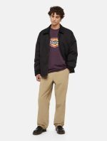 Dickies Icon Logo Tee Plum Perfect DK0A4XC9J561 - Image 5