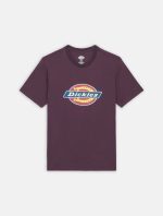 Dickies Icon Logo Tee Plum Perfect DK0A4XC9J561 - Image 6