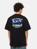 Dickies Companion T-shirt Black DK0A4Z3PBLK1 - Image 2