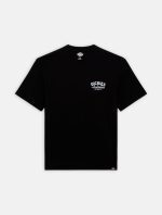 Dickies Companion T-shirt Black DK0A4Z3PBLK1 - Image 5