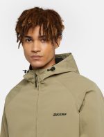 Dickies Ronan Shell Jacket Military Green DK0A4Z3Y0IP1 - Image 2