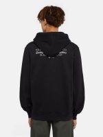 Dickies Globe Hoodie Black DK0A85SRBLK1 - Image 6