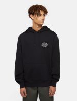 Dickies Globe Hoodie Black DK0A85SRBLK1