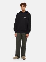 Dickies Globe Hoodie Black DK0A85SRBLK1 - Image 5