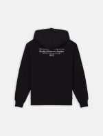 Dickies Globe Hoodie Black DK0A85SRBLK1 - Image 8
