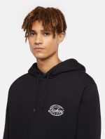 Dickies Globe Hoodie Black DK0A85SRBLK1 - Image 3