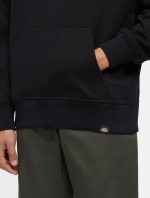 Dickies Globe Hoodie Black DK0A85SRBLK1 - Image 4