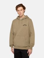 Dickies Panther Hoodie Military Green DK0A87CI0IP1