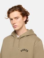 Dickies Panther Hoodie Military Green DK0A87CI0IP1 - Image 4
