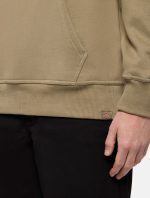 Dickies Panther Hoodie Military Green DK0A87CI0IP1 - Image 3