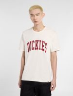 Dickies Aitkin Short Sleeve T-Shirt Beige DK0A4X9FC481