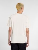 Dickies Aitkin Short Sleeve T-Shirt Beige DK0A4X9FC481 - Image 5