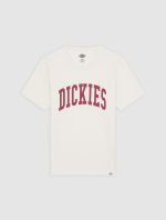 Dickies Aitkin Short Sleeve T-Shirt Beige DK0A4X9FC481 - Image 6