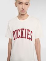 Dickies Aitkin Short Sleeve T-Shirt Beige DK0A4X9FC481 - Image 2