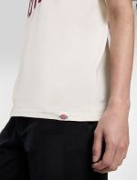 Dickies Aitkin Short Sleeve T-Shirt Beige DK0A4X9FC481 - Image 3
