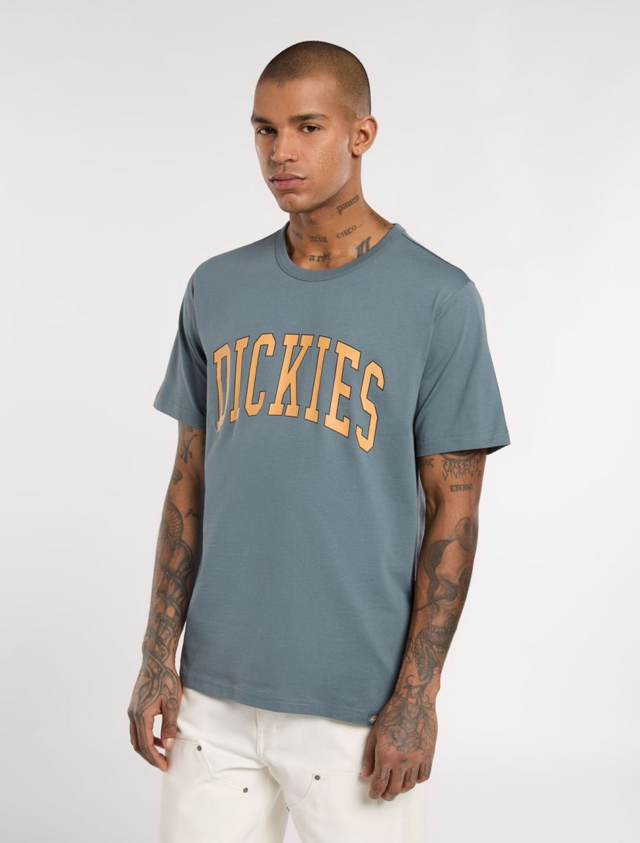 DK0A4X9FG701-1_1_6 Dickies Aitkin Short Sleeve T-Shirt Stormy Weather DK0A4X9FG701 - Image 1