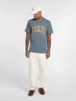 Dickies Aitkin Short Sleeve T-Shirt Stormy Weather DK0A4X9FG701 - Image 4