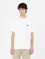 Dickies Summerdale Short Sleeve T-Shirt White DK0A4YAIWHX1