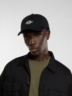 Dickies Essential Dad Baseball Cap Black DK0A4Z6NBLK1 - Image 2