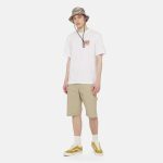 Dickies Duck Carpenter Short Desert Sand DK0A4XNGF021 - Image 5