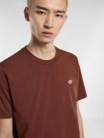 Dickies Mapleton T-Shirt Brown Mapleton DK0A4XDBK471 - Image 2