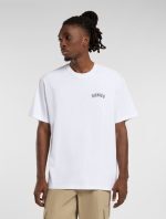 DICKIES SNAKE TEE WHITE DK0A4Z990WH1