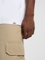 DICKIES SNAKE TEE WHITE DK0A4Z990WH1 - Image 5