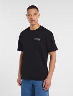 DICKIES SNAKE TEE BLACK DK0A4Z99BLK1