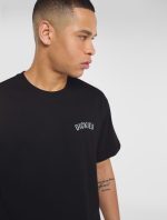 DICKIES SNAKE TEE BLACK DK0A4Z99BLK1 - Image 3