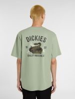 DICKIES SNAKE TEE ICEBERG GREEN DK0A4Z99K361 - Image 2