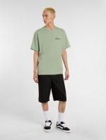 DICKIES SNAKE TEE ICEBERG GREEN DK0A4Z99K361 - Image 6