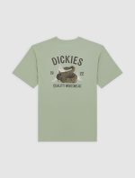 DICKIES SNAKE TEE ICEBERG GREEN DK0A4Z99K361 - Image 4