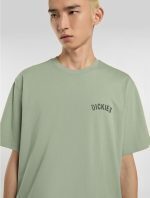 DICKIES SNAKE TEE ICEBERG GREEN DK0A4Z99K361 - Image 3