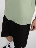 DICKIES SNAKE TEE ICEBERG GREEN DK0A4Z99K361 - Image 5